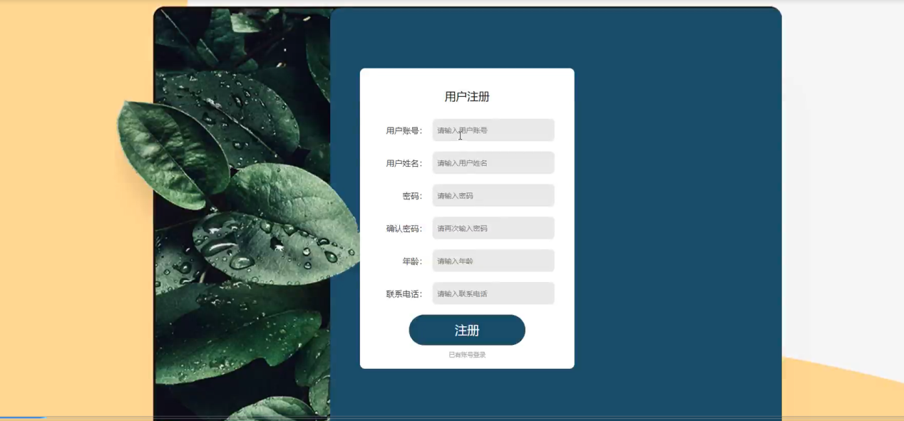 图片[2]陈大发随笔-计算机源码资源-计算机毕业设计项目springboot篮球论坛系统